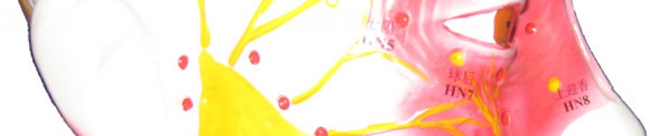 TeeCM